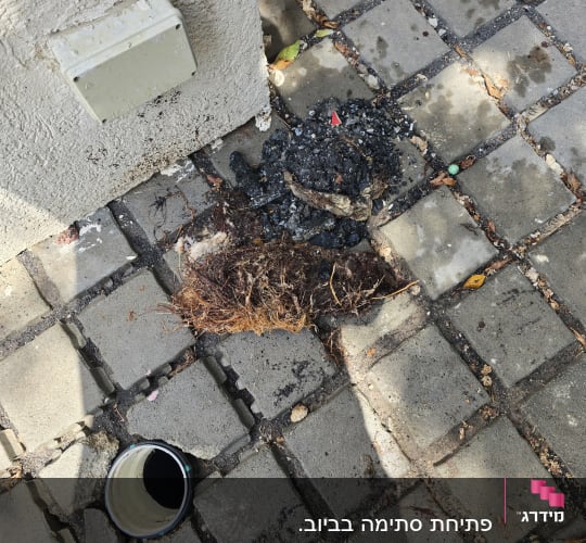 פתח ביוב על מדרכה עם לכלוך ופסולת סביבו